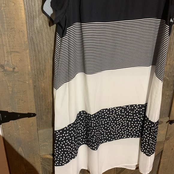 Black and white shirt dress - Picture 3 of 5